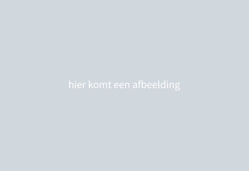 Kleine titel komt hier