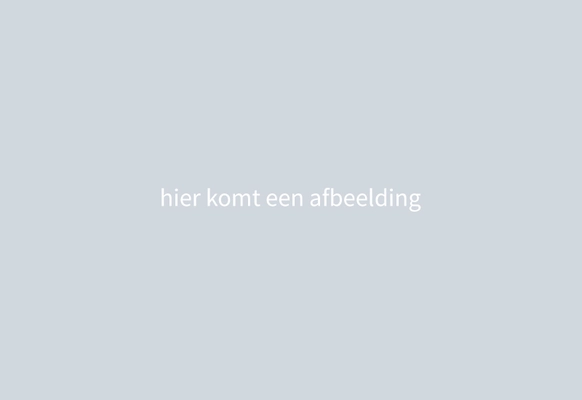 Een normale titel